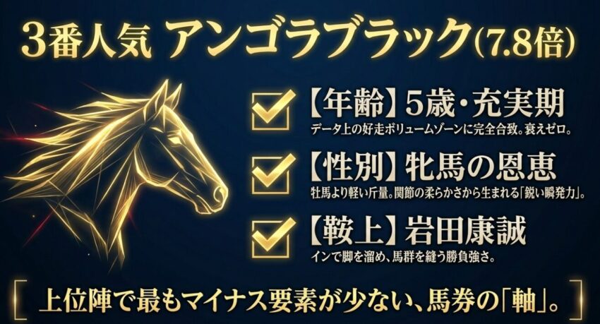 3番人気アンゴラブラック。5歳の充実期、牝馬の恩恵による鋭い瞬発力、岩田康誠騎手の勝負強さが揃った馬券の軸。