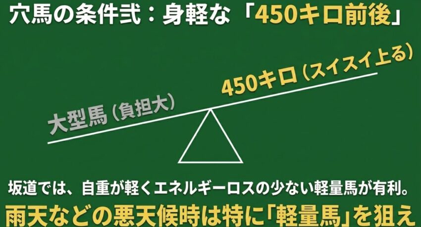 穴馬の条件弐 身軽な450キロ前後 自重が軽くエネルギーロスの少ない軽量馬が有利
