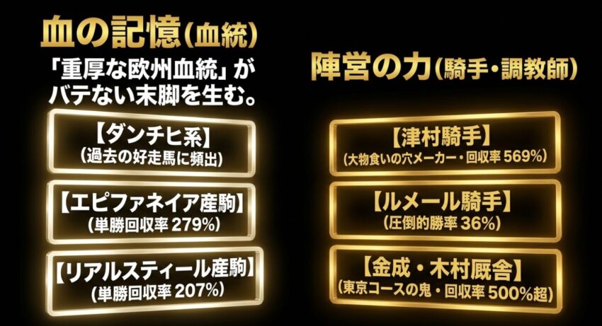 ダンチヒ系などの重厚な欧州血統と、津村騎手やルメール騎手など東京コースで好成績を残す有力陣営のデータをまとめたスライド